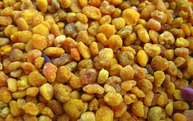 養(yǎng)蜂不僅僅只有蜂蜜,還有它們,有些蜂產(chǎn)品甚至比黃金還金貴! 蜂花粉