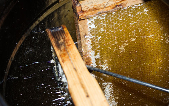 蜂產品有哪些種類?不僅僅只有蜂蜜,有些蜂產品比蜂蜜還要值錢! 蜂蜜