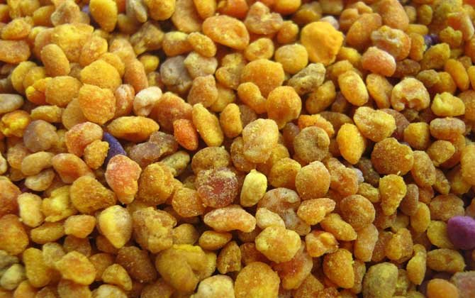 蜂花粉怎么吃效果好?吃對了好處不用多說,吃錯了反而可能有害! 蜂花粉