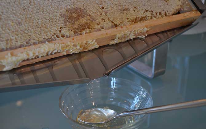 蜂蜜美容是真的嗎?答案是肯定的,更被譽為“可食用的美容劑”! 蜂蜜美容