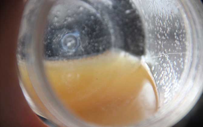 喝蜂蜜水會胖嗎?關鍵看飲用量,過量喝會長胖,適量喝反而減肥! 蜂蜜