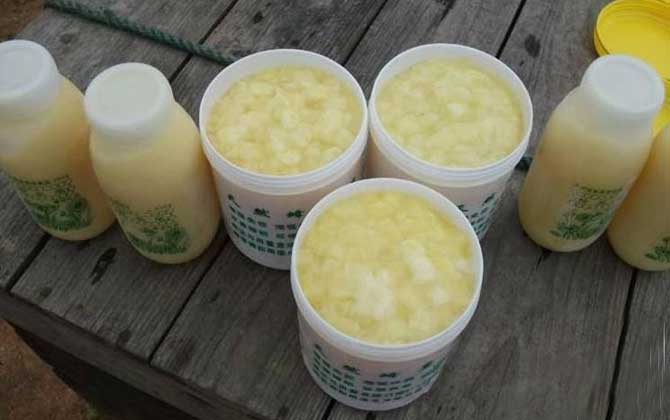 蜂王漿怎么吃最好?除了要適量以外,還要注意蜂王漿的禁忌人群! 蜂王漿