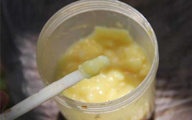 蜂王漿怎么吃最好?除了要適量以外,還要注意蜂王漿的禁忌人群! 蜂王漿