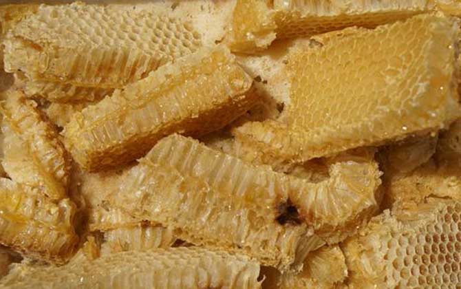 蜂巢蜜的蜂蠟?zāi)艹詥幔看鸢甘强隙ǖ模聦?shí)上吃蜂蠟也有保健價(jià)值! 蜂巢蜜
