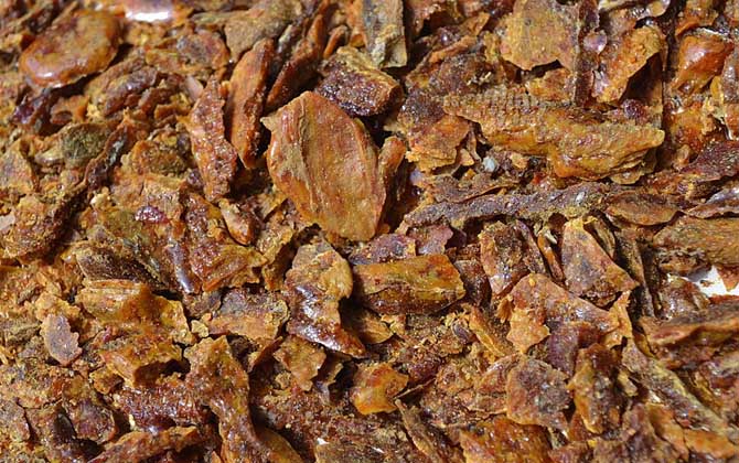 蜂膠是什么東西?蜜蜂采集樹(shù)膠加工成的,素有“液體黃金”之稱! 蜂膠