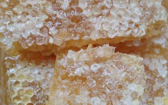 蜂巢蜜和土蜂蜜哪個好?并沒有定論,實際上土蜂也能釀制蜂巢蜜! 蜂巢蜜