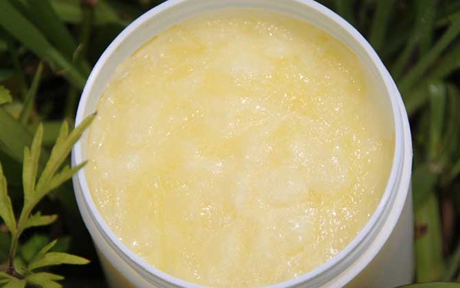 蜂王漿能提高性功能嗎?有一定的效果,但具體效果可能因人而異! 蜂王漿