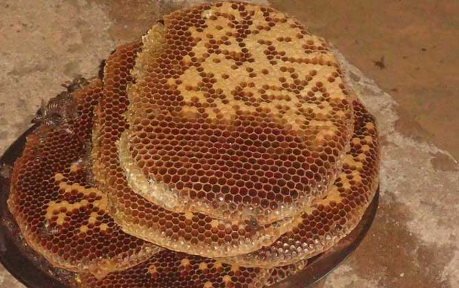 糖尿病人能吃蜂蜜嗎?關鍵看血糖,若血糖控制住了也能喝蜂蜜! 蜂蜜