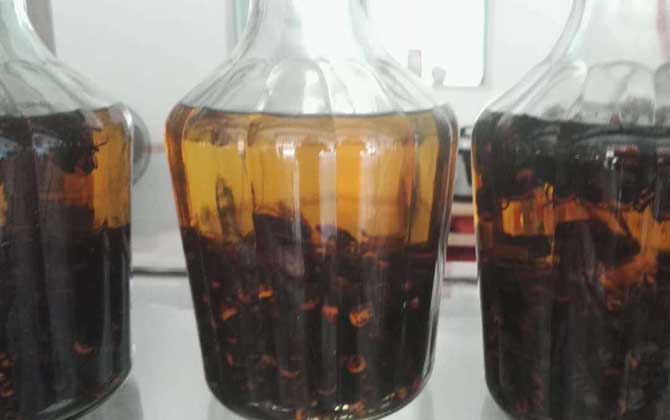 馬蜂泡酒喝死人是真的嗎?的確是真的,長期過量飲用可致人死亡! 馬蜂泡酒