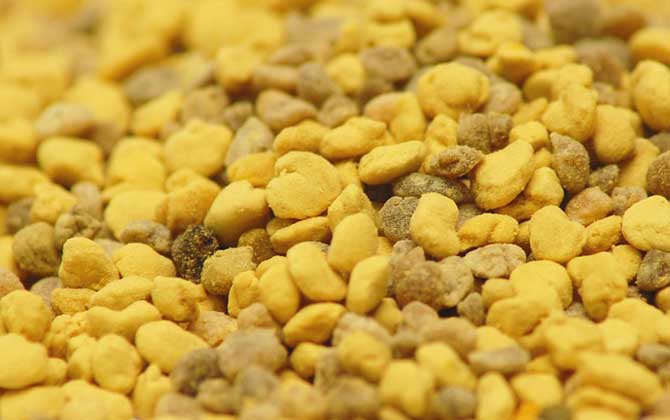 男人吃花粉有什么好處?不但能增強(qiáng)體質(zhì),還能預(yù)防前列腺疾病! 花粉