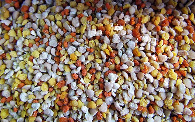 花粉的正確食用方法,絕對不能過量食用,還要注意禁忌人群! 花粉