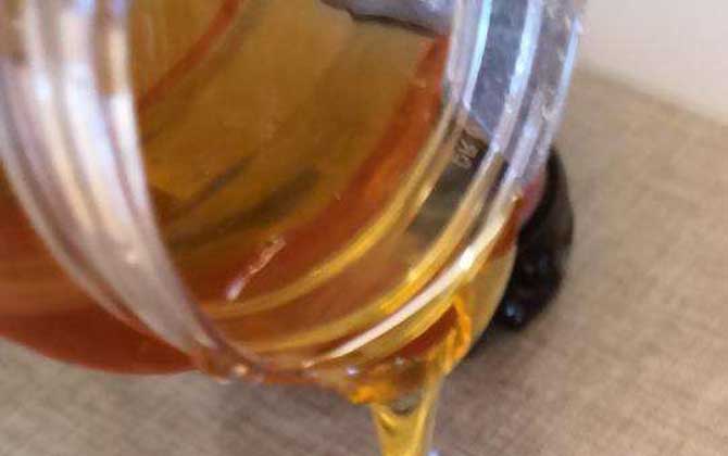 黃芪蜜的作用與功效及食用方法 黃芪蜜