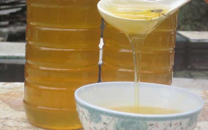黃芪蜜的作用與功效及食用方法 黃芪蜜