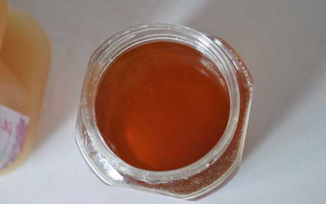 沙棗花蜜的功效與作用及食用方法 沙棗花蜜