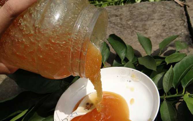 小茴香蜜的作用與功效及食用方法 小茴香蜜