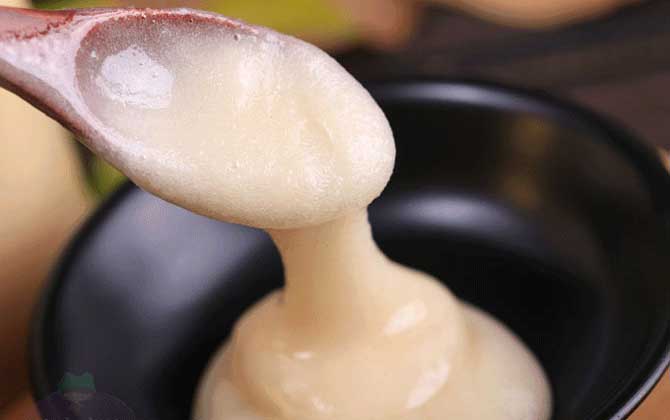 鴨腳木蜜的作用與功效及食用方法 鴨腳木蜜