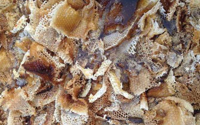 百花蜜價格多少錢一斤? 百花蜜