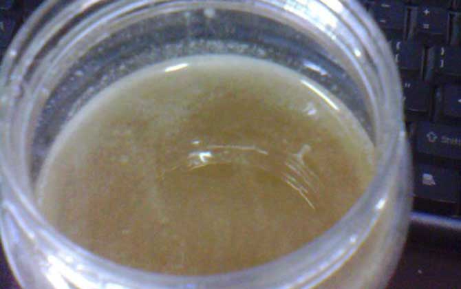 三七粉加蜂蜜的功效及正確喝法 蜂蜜