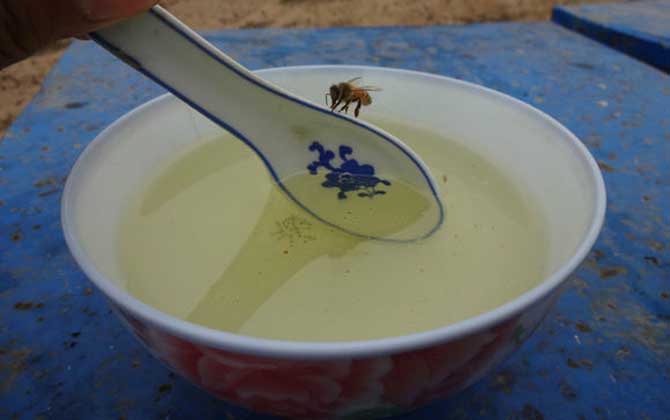 蜂蜜檸檬百香果水的功效及正確做法 蜂蜜