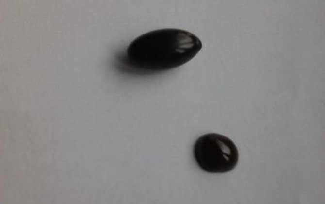 買蜂膠選哪個(gè)牌子好? 蜂膠