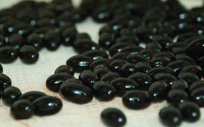 蜂膠什么年齡吃最好? 蜂膠