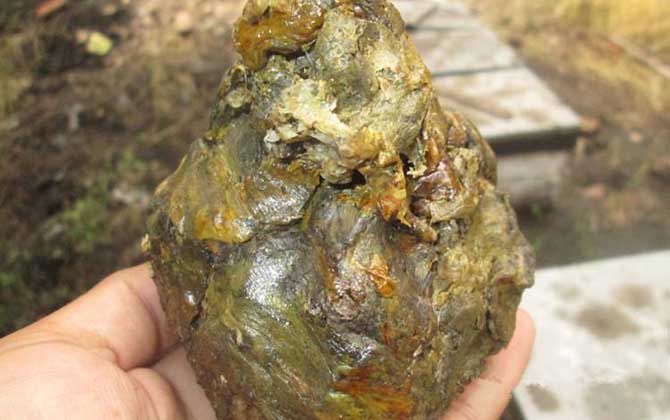 蜂膠在家里怎么提煉? 蜂膠