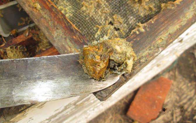 蜂膠泡酒的功效與作用及正確做法 蜂膠