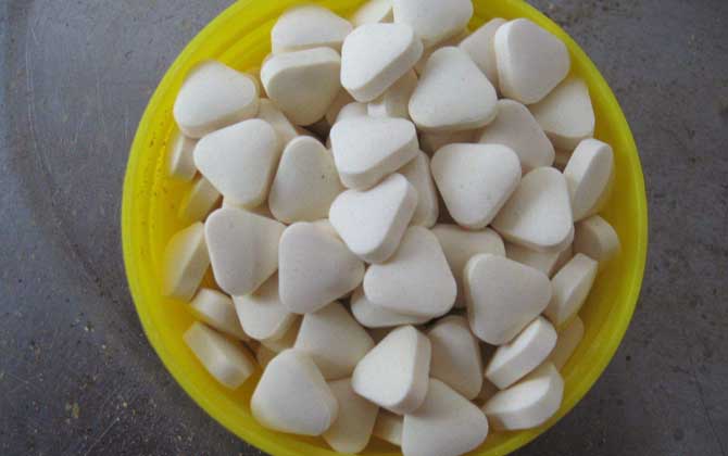 蜂王胎片真能滋養(yǎng)卵巢嗎? 蜂王胎