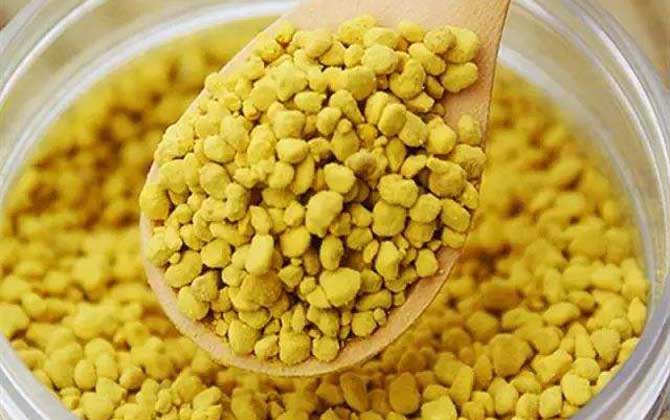 最新蜂花粉價格多少錢一斤? 蜂花粉