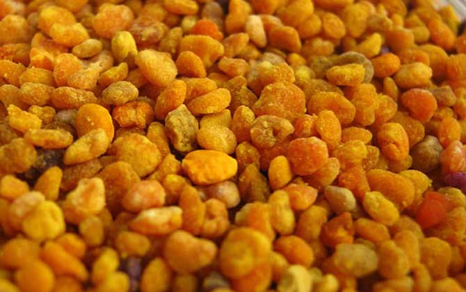 蜂花粉的作用與功效及食用方法 蜂花粉