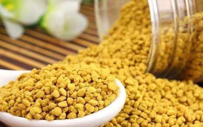 油菜花粉對性功能有好處嗎? 油菜花粉