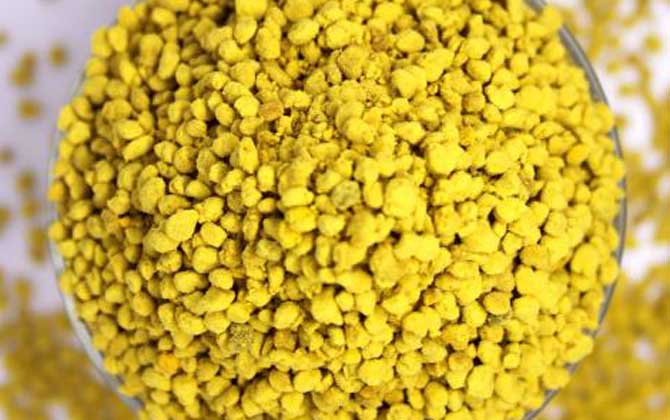 油菜花粉對性功能有好處嗎? 油菜花粉