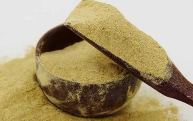 松花粉能治黃褐斑嗎? 松花粉