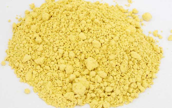 松花粉能治那九種病? 松花粉