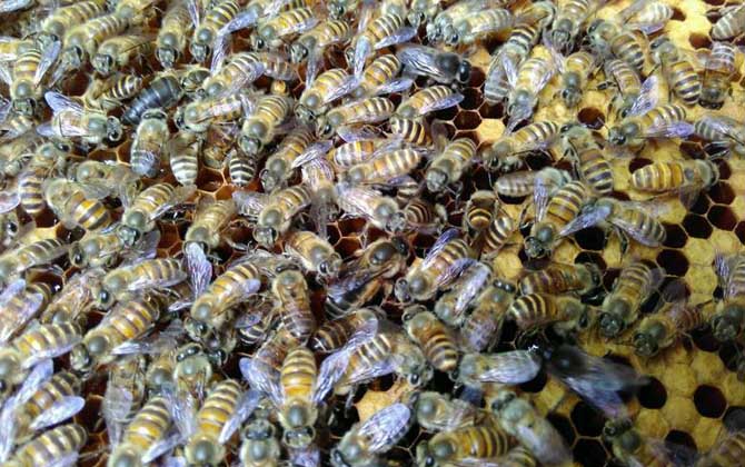 失王什么時(shí)候介王最好? 介王