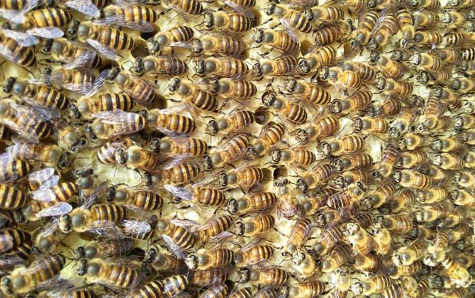 失王什么時(shí)候介王最好? 介王