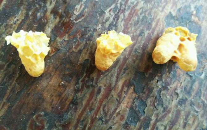 急造王臺(tái)一般幾天封蓋? 急造王臺(tái)