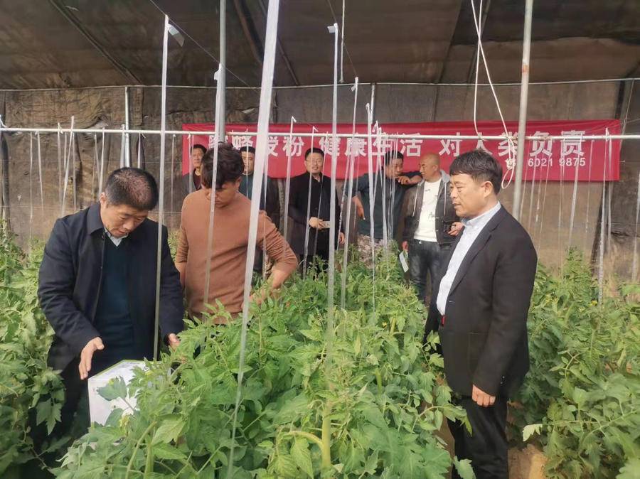 助力鄉(xiāng)村振興，山東省蜂業(yè)協(xié)會在曹縣舉辦熊蜂授粉推廣現(xiàn)場會