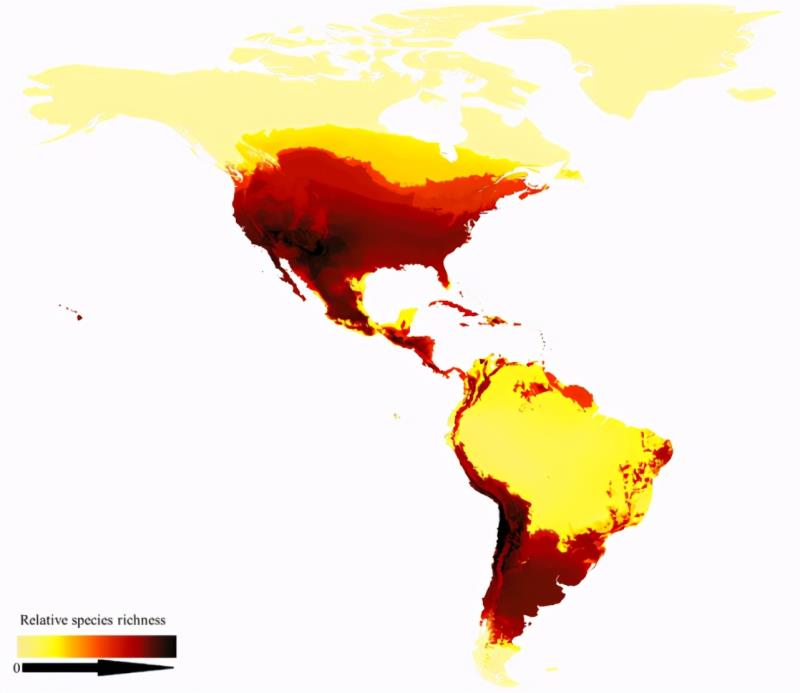 第一張蜜蜂分布世界地圖公布，填補(bǔ)了知識(shí)空白，也讓科學(xué)家吃驚了