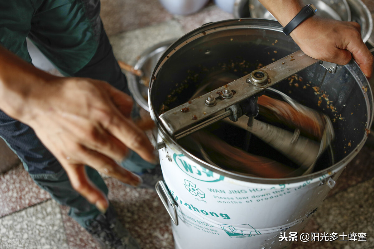 你試過刮脾取蜜嗎？它真的優于搖蜜機取蜜嗎？