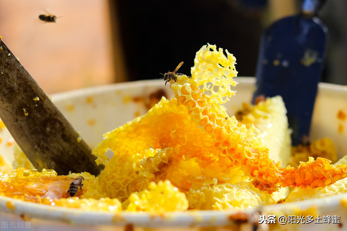 你試過刮脾取蜜嗎？它真的優于搖蜜機取蜜嗎？