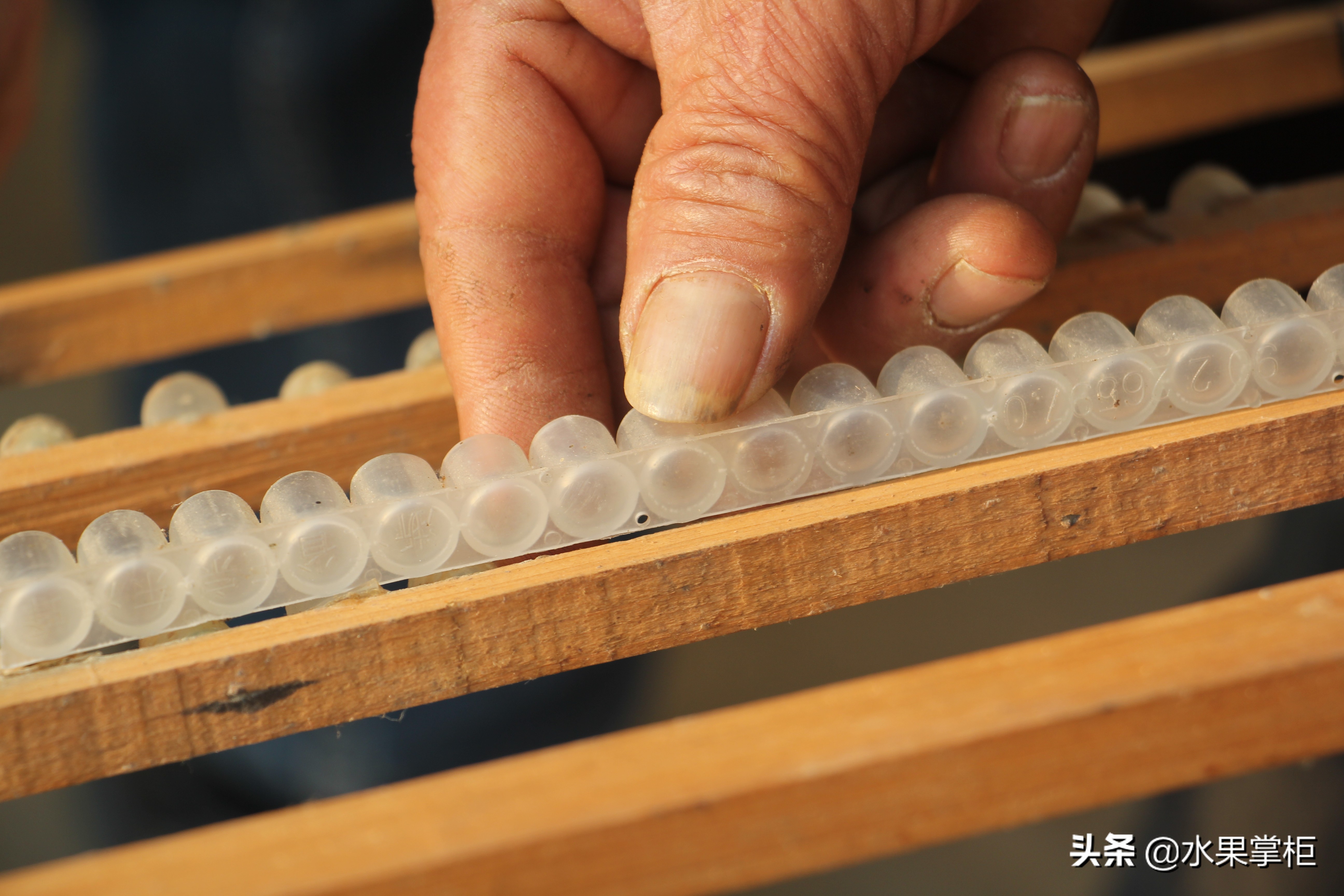 漲知識：農(nóng)家養(yǎng)土蜂蜜的工具，你認識幾個？留言回復(fù)，連載哦