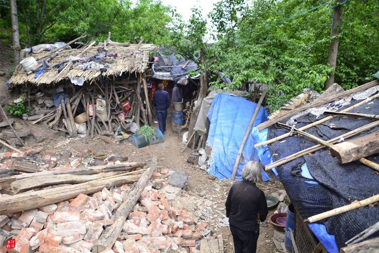 81歲老人養蜂半世紀，自創多種養蜂工具，怕蜜蜂丟失樹下睡3個月