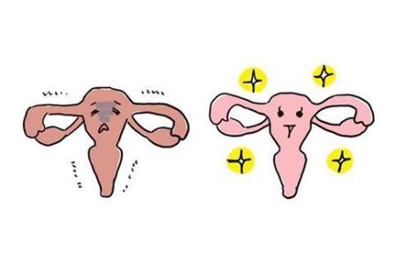 蜂花粉預防卵巢早衰