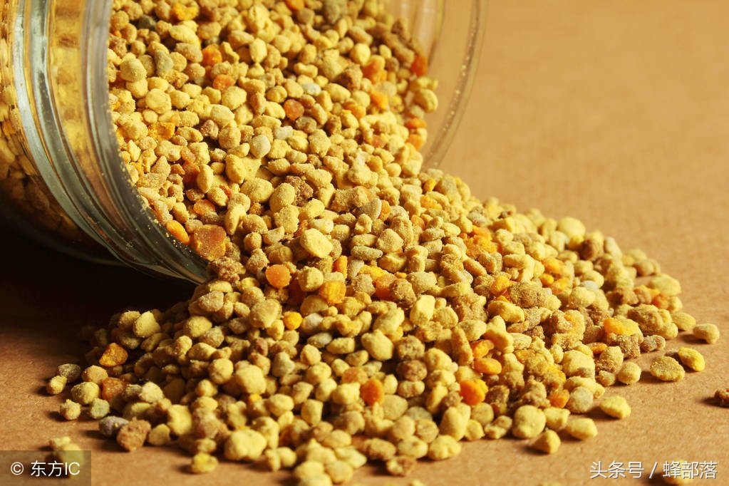 新手養(yǎng)中蜂，不破除這7個(gè)觀念，永遠(yuǎn)別想走上養(yǎng)蜂致富道路