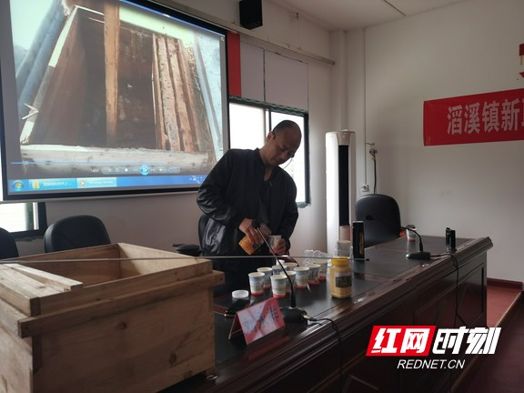 安化：養蜂技術培訓進山村 甜蜜致富幸福來