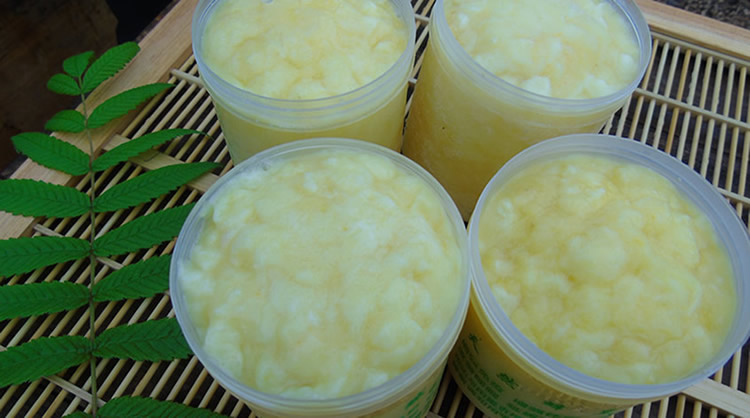 蜂王的壽命是工蜂的多少倍(蜂王和蜜蜂的壽命有多長) 蜂王的壽命是工蜂的多少倍(蜂王和蜜蜂的壽命有多長)