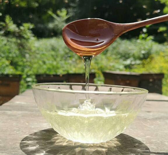 未完全成熟蜂蜜的壞處(蜂蜜不成熟有什么影響) 未完全成熟蜂蜜的壞處(蜂蜜不成熟有什么影響)