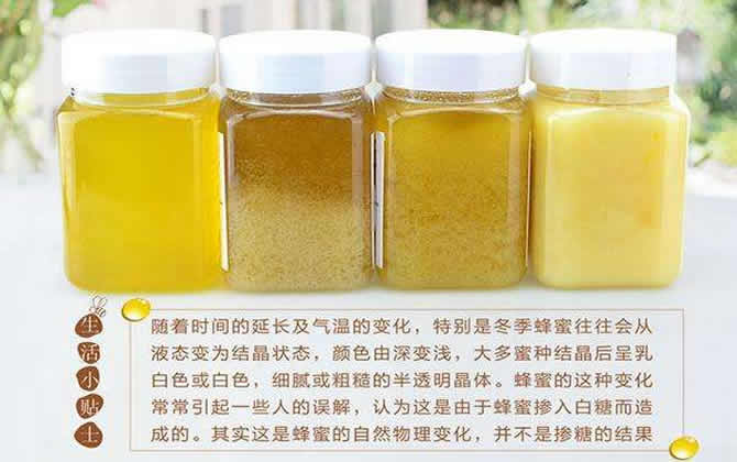蜂蜜結(jié)晶 蜂蜜結(jié)晶