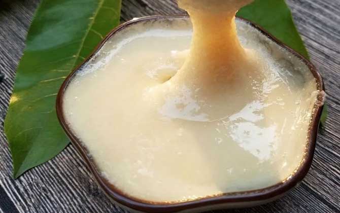 女性喝鴨腳木蜜好嗎(鴨腳木蜜的營養價值) 女性喝鴨腳木蜜好嗎(鴨腳木蜜的營養價值)